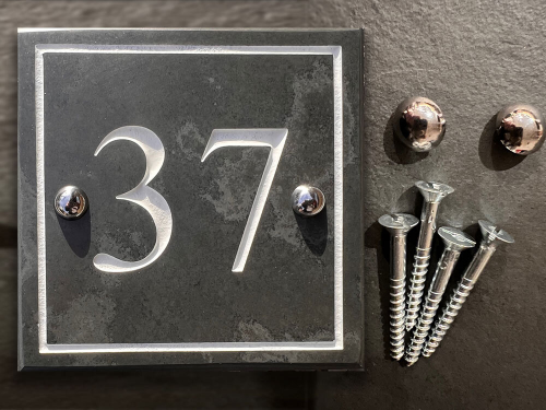 Screws with Chrome Dome Tops