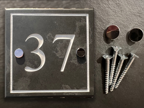 Screws with Chrome Flat Tops